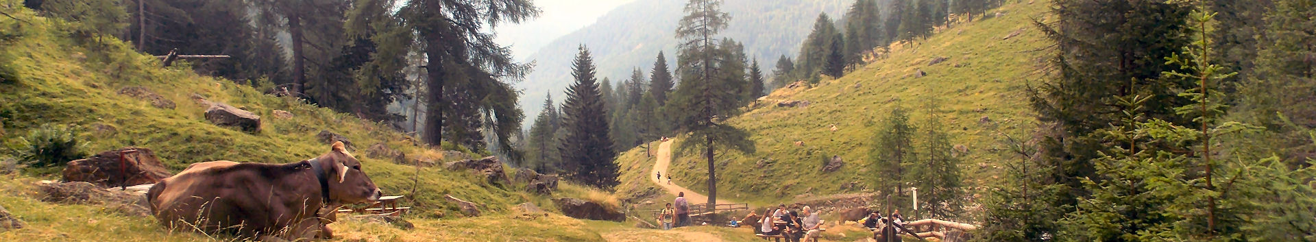 Marilleva (TN)