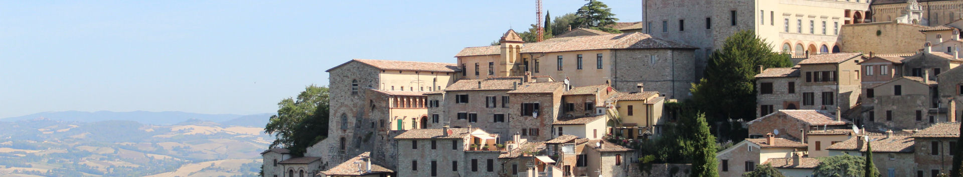 Todi